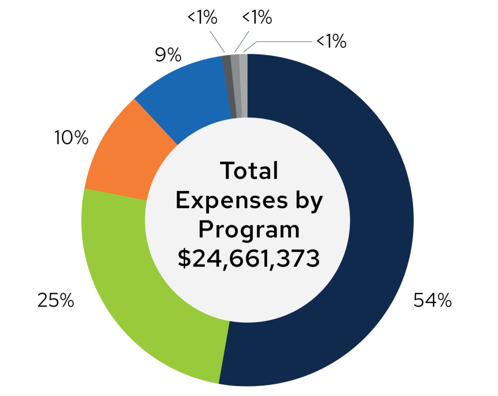 Total Expenses by Program graph